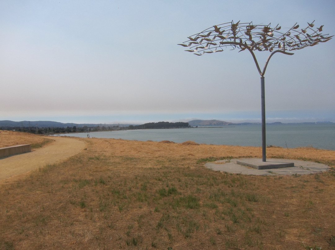 Seal Point Park-圣马特奥必去景点