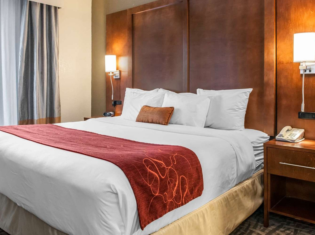 Comfort Suites Vincennes主图