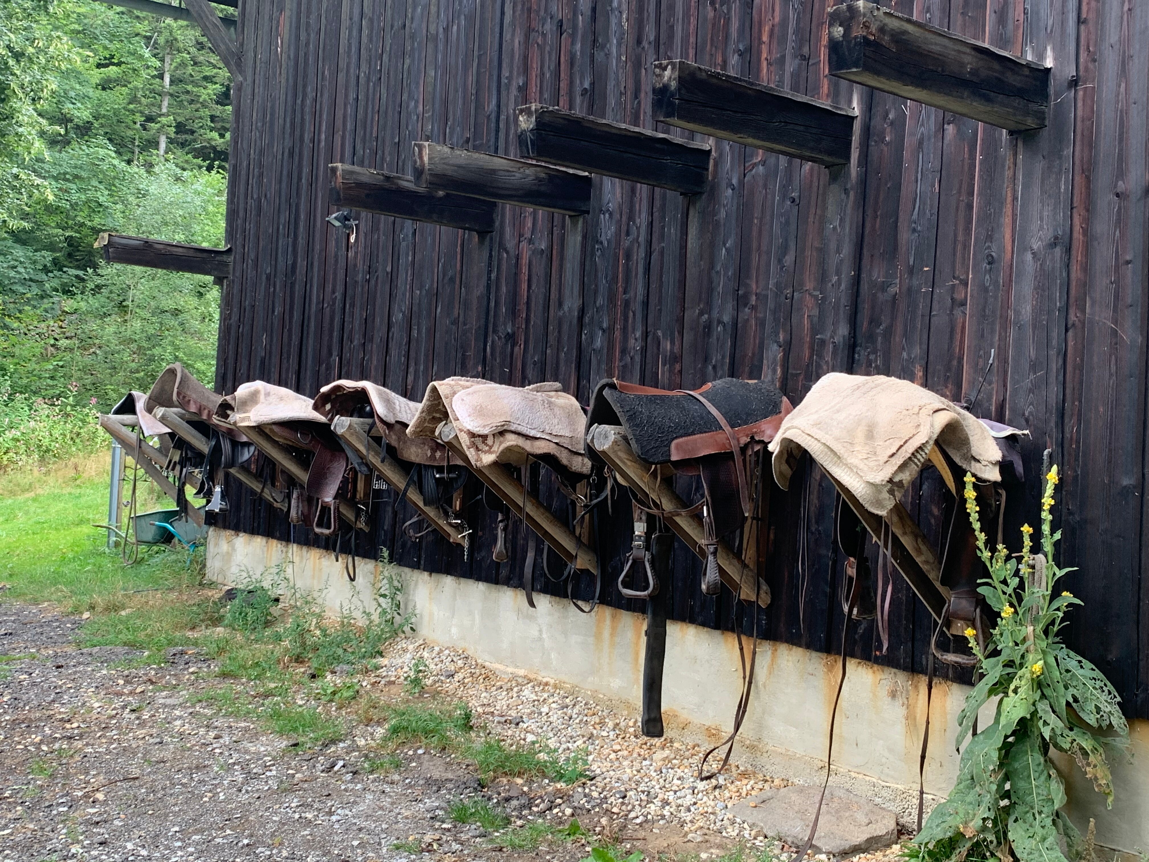 Tigerhill Ranch-官方