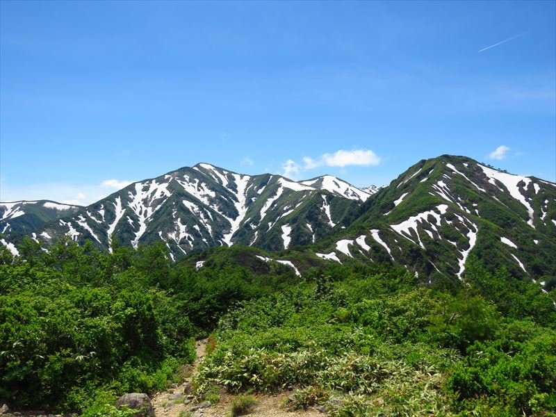 Asahi Kosen Naturalist's House主图