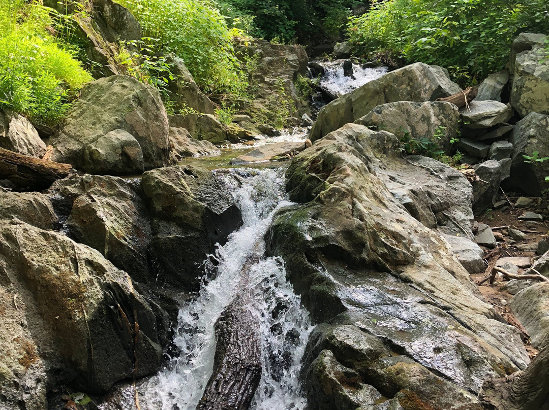 Turkey Run Park-麦克莱恩必去景点