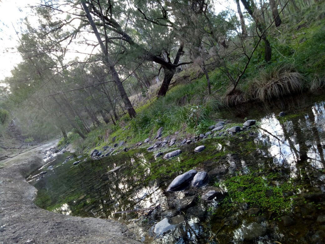 Towarri National Park-Middle Brook必去景点