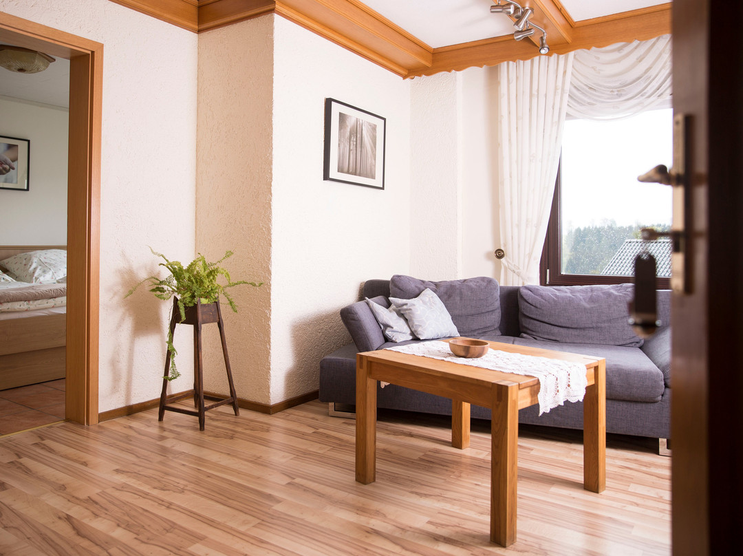 Sankt Andreasberg酒店住宿-Landhaus Fischer