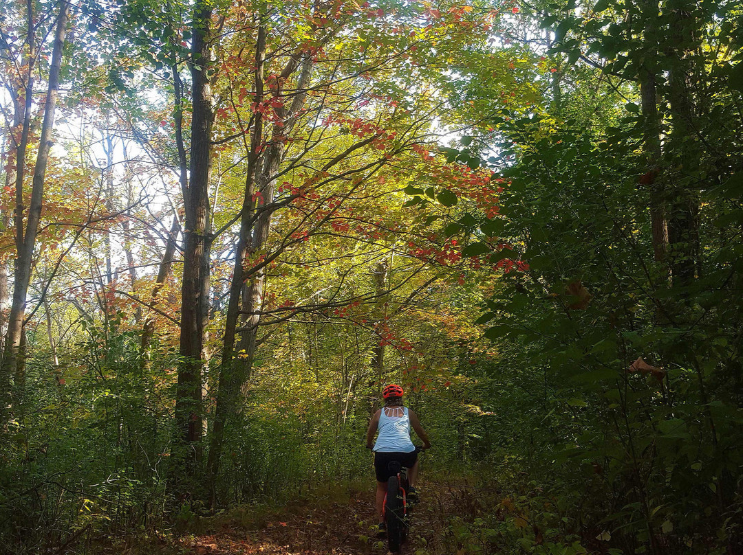 Up North Guided Tours-诺斯布鲁克必去景点