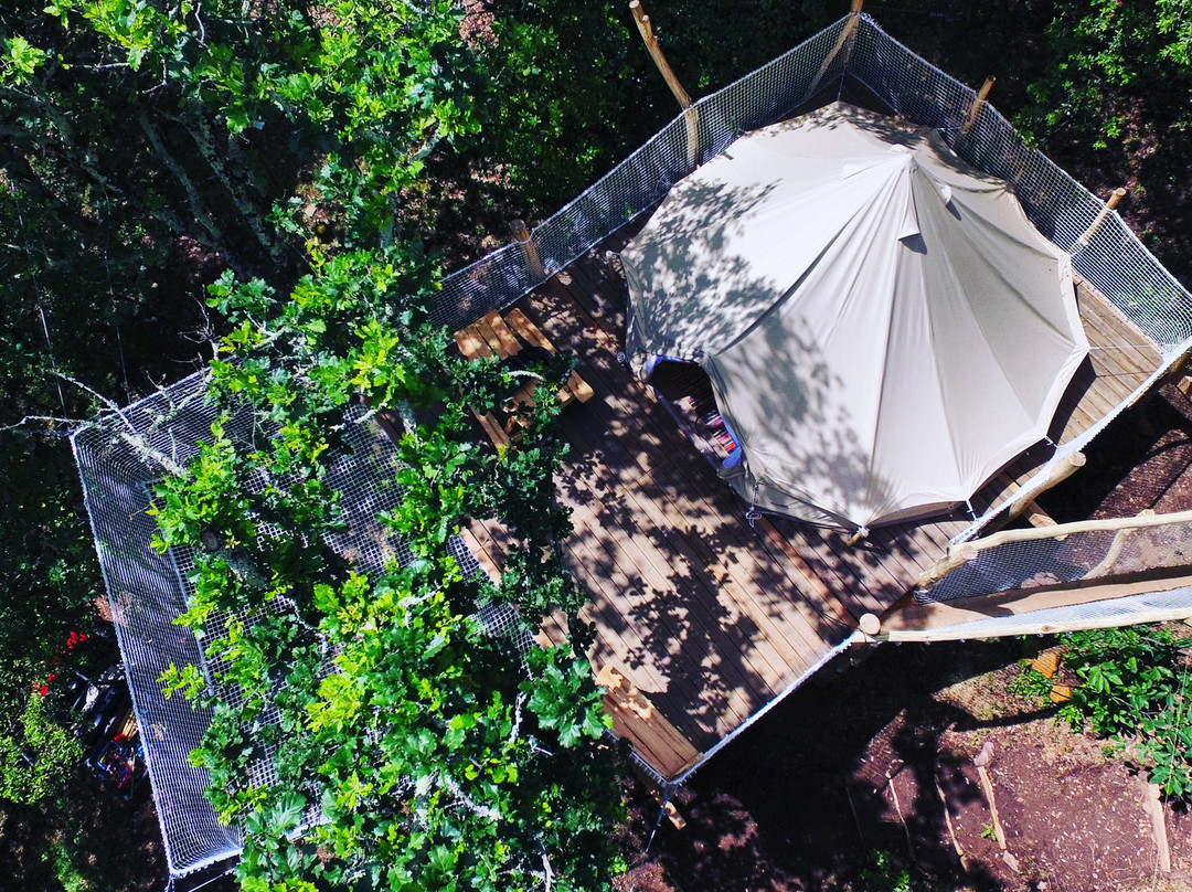 Camping Lou Cantou Cévenol
