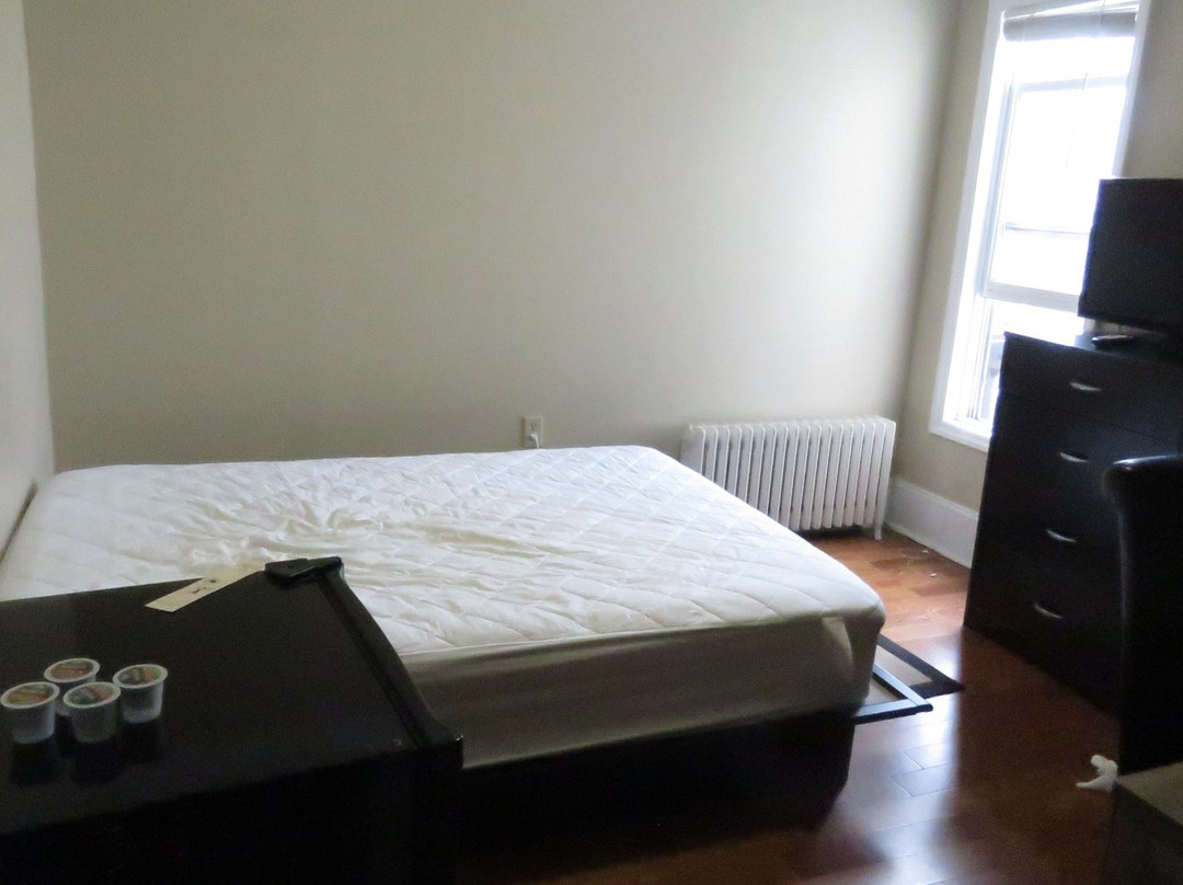 The Novel Stay主图