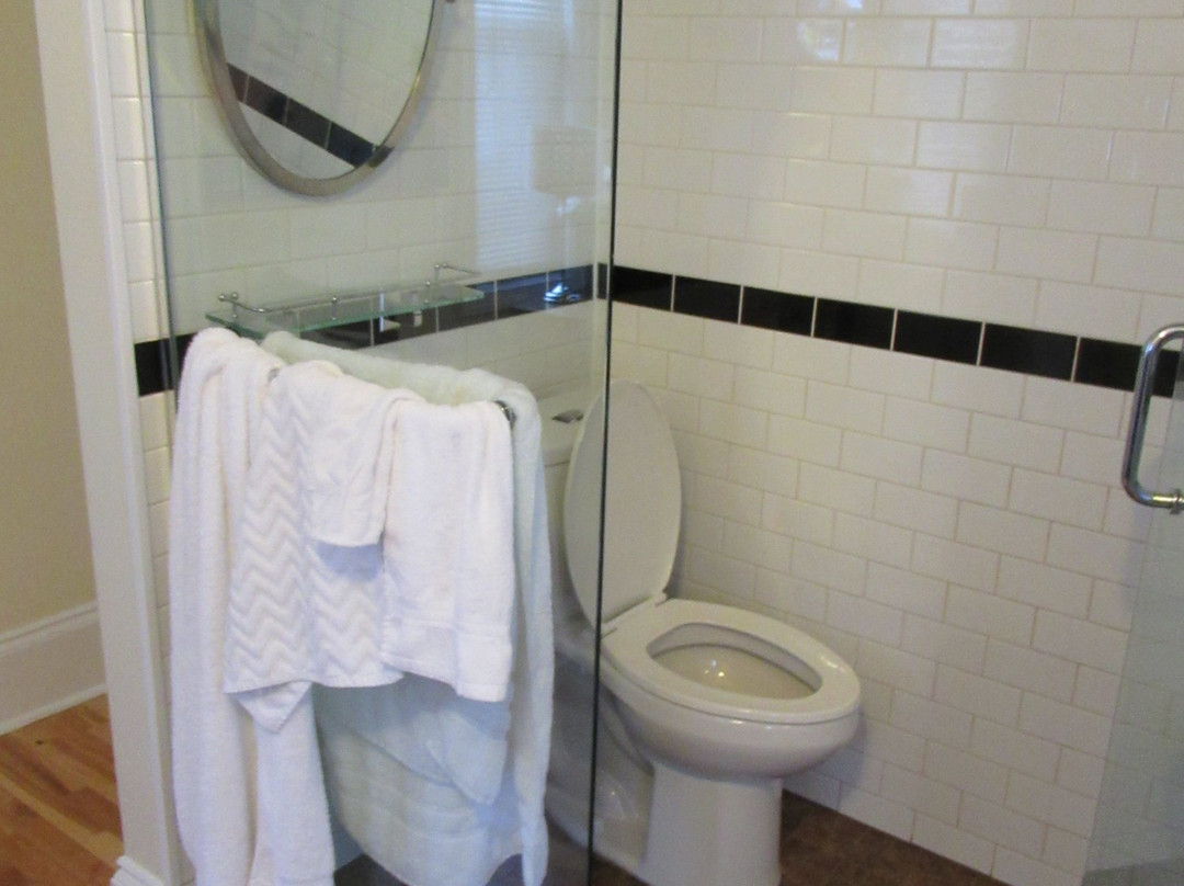 The Novel Stay主图