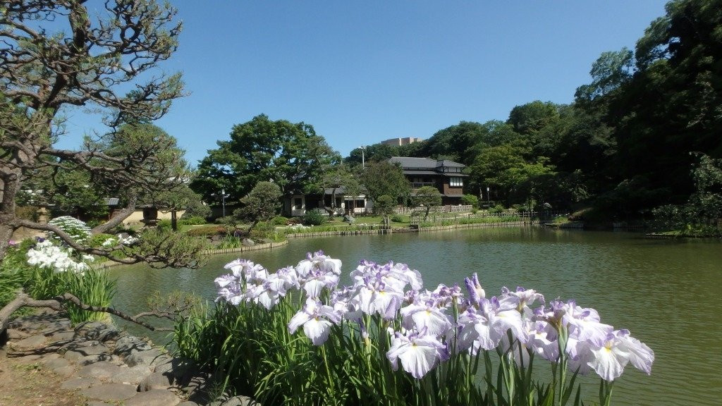 Higo-Hosokawa Garden-文京区必去景点