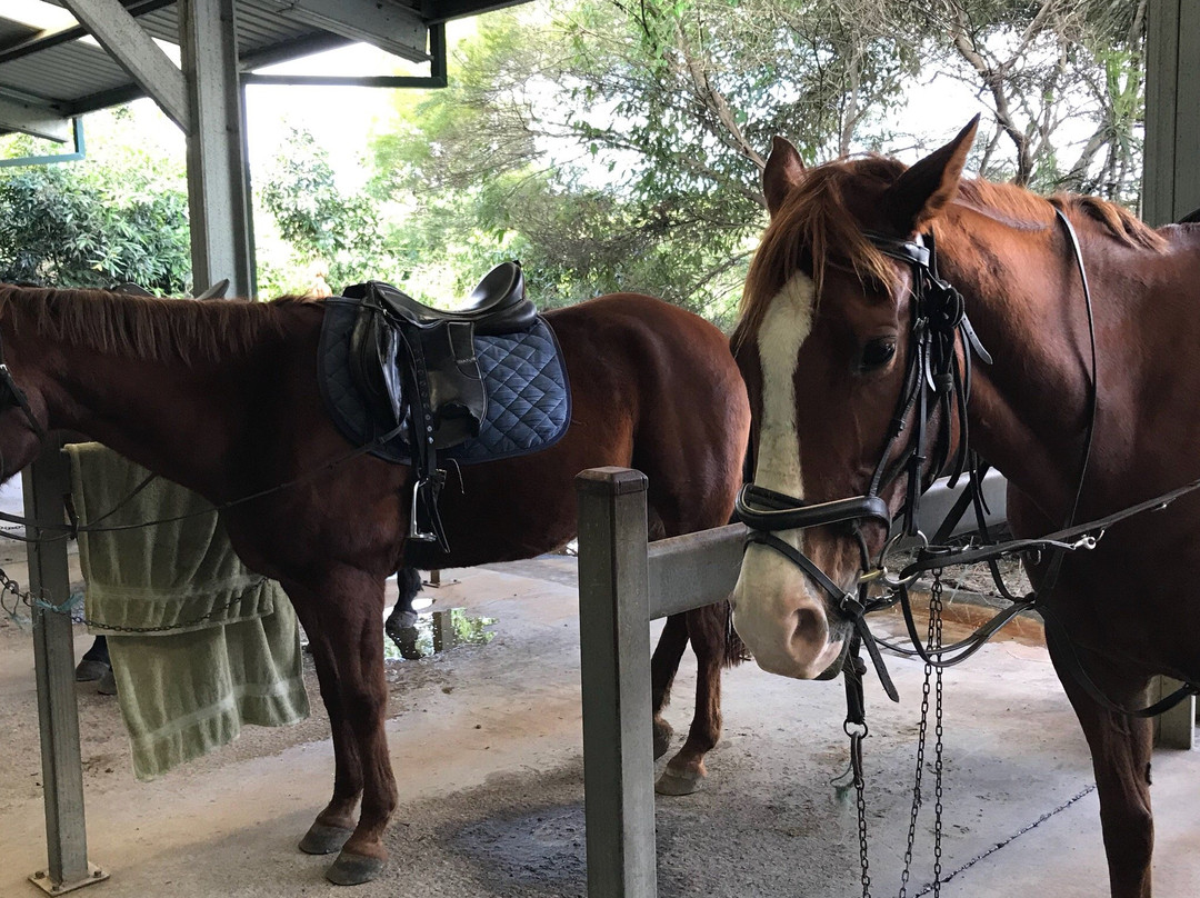 Cherbon Waters Equestrian Centre景点图片