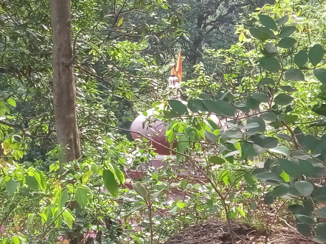 Shri Lakshmi Keshav Temple景点图片