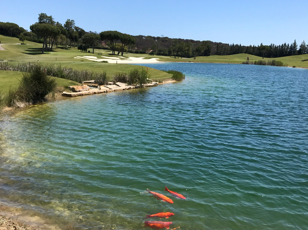Laranjal Golf Course景点图片