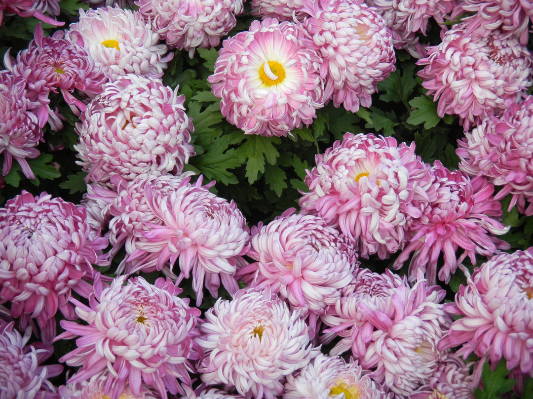 鼓楼广场-开封市必去景点