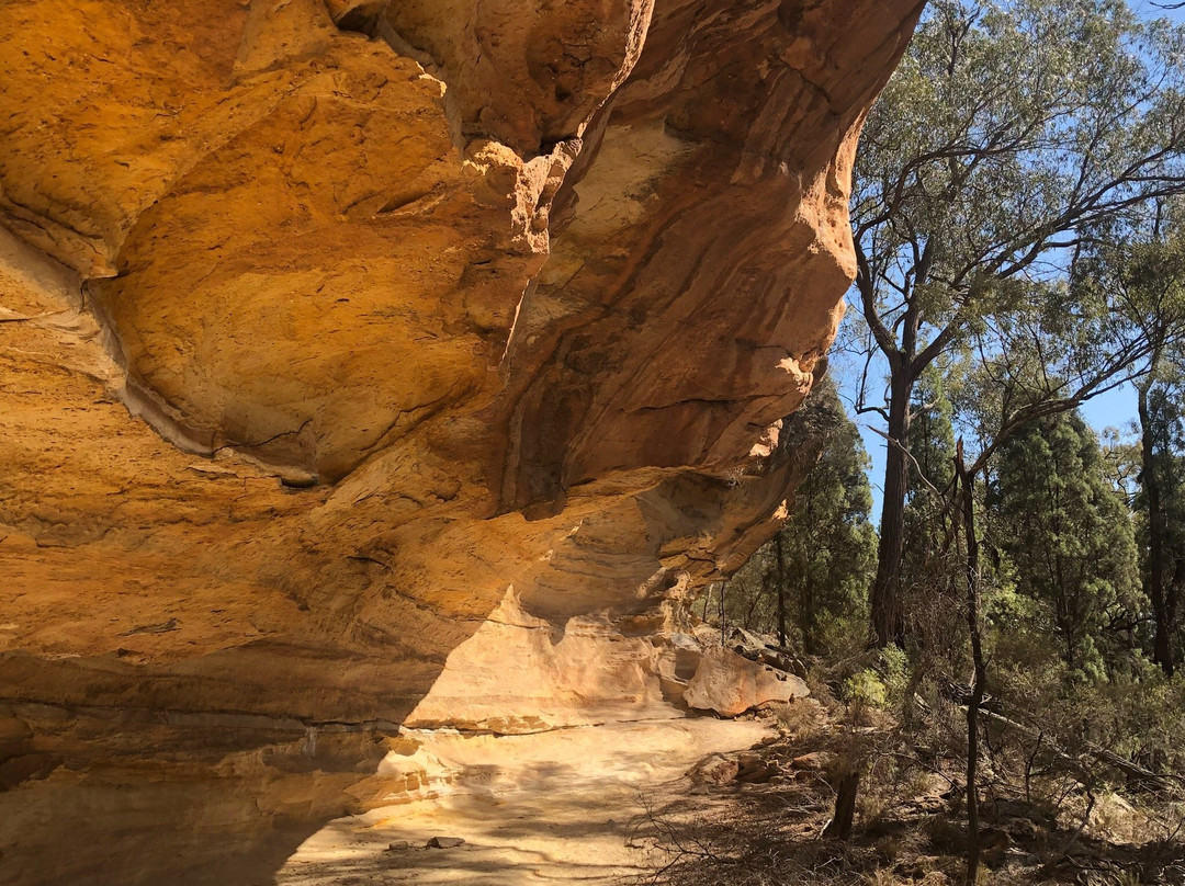 Gulgong旅游攻略图片