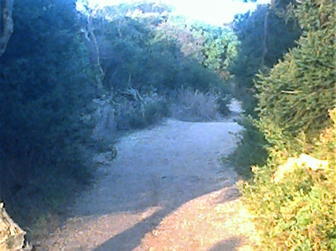 Fitzpatrick Seat-Aireys Inlet必去景点