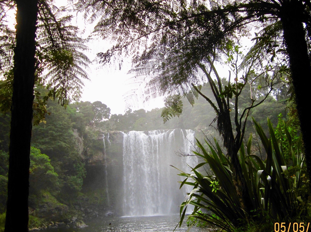 Kerikeri River Track景点图片