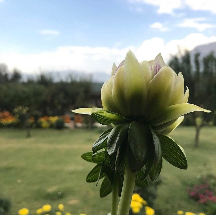 The Orchard Retreat & Spa主图