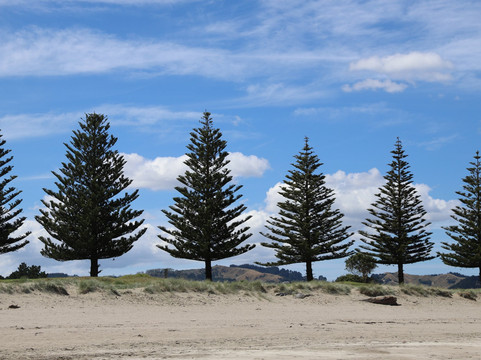 Whispering Sands Beachfront Motel主图