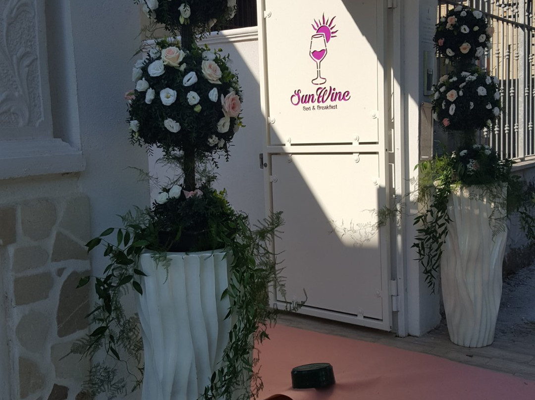 Bed & Breakfast Sun Wine主图