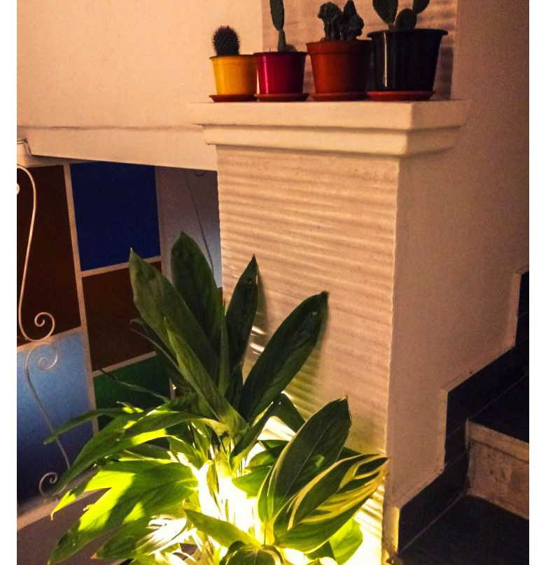 Hospedaje Marabi主图