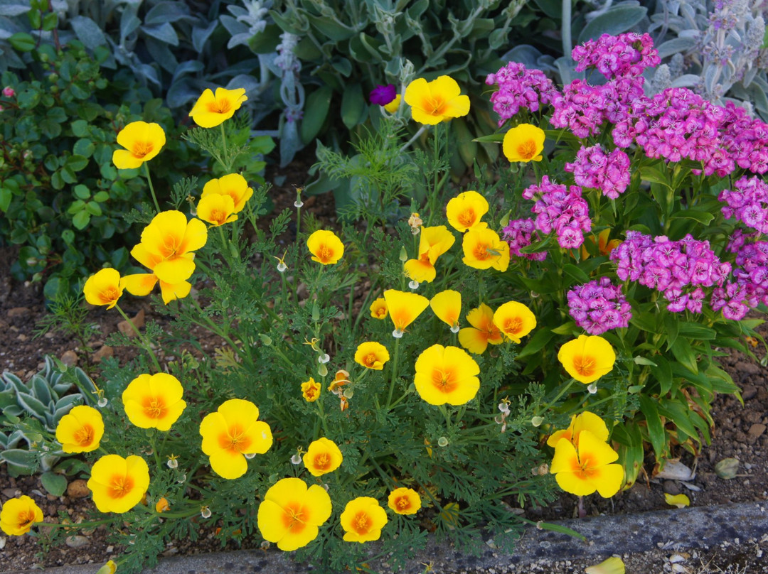 Acaba d'Entrar主图