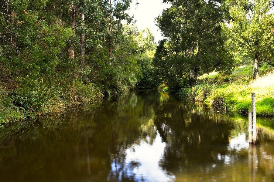 West barwon reservoir-Forrest必去景点