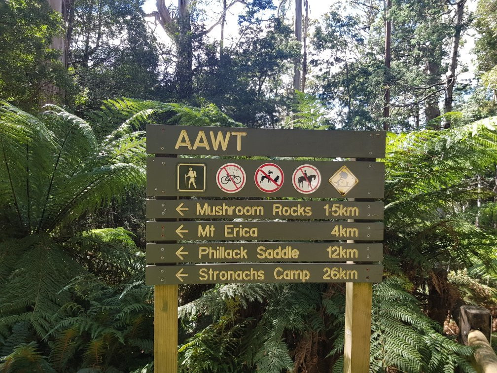 Mushroom Rocks-Erica必去景点