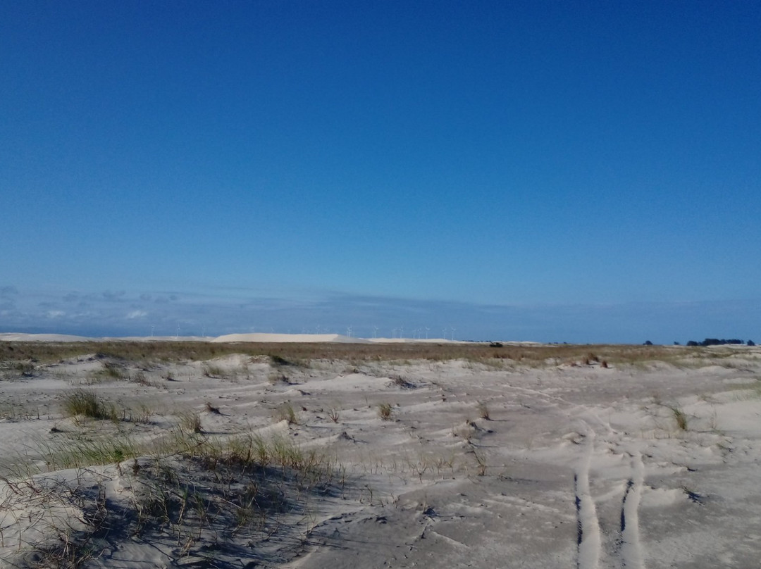 Dunas de Cidreira景点图片