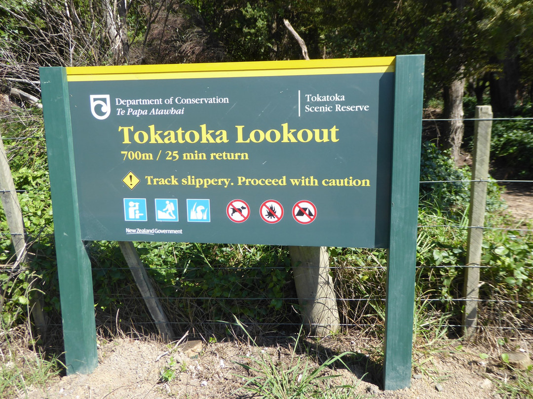 Tokatoka Peak景点图片