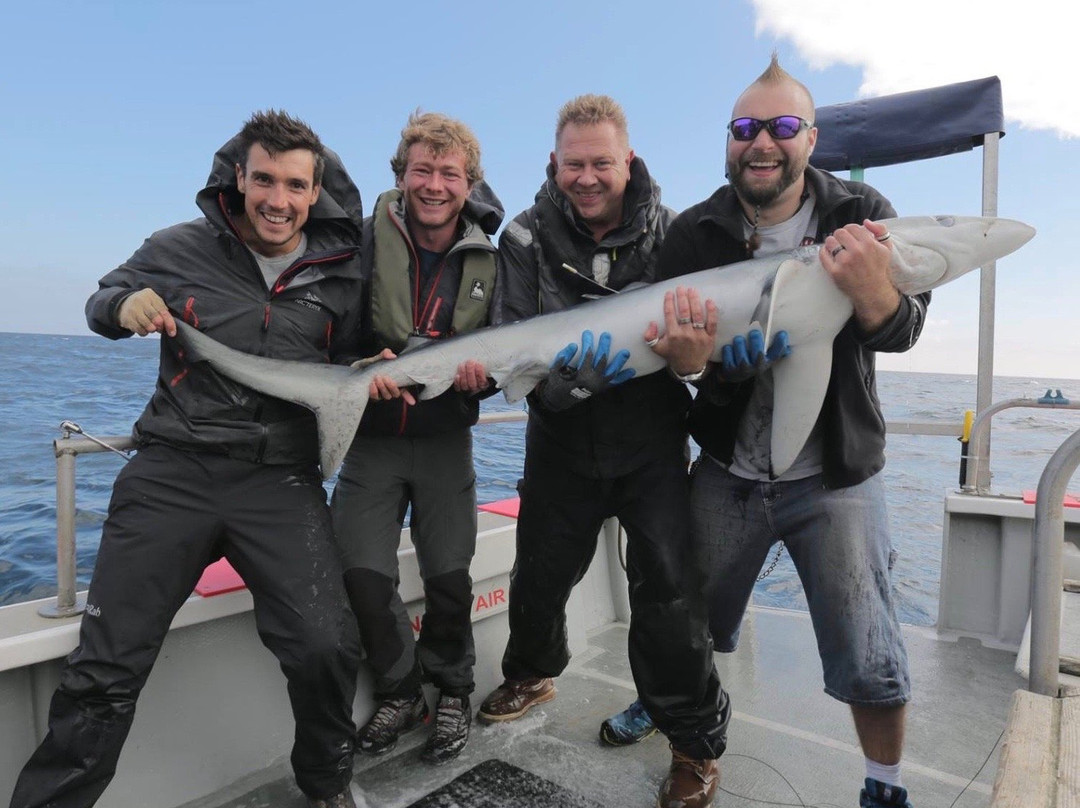 Cornish Fishing-法尔茅斯必去景点