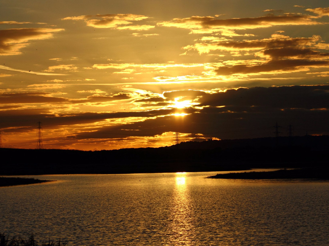 RSPB Bowers Marsh景点图片