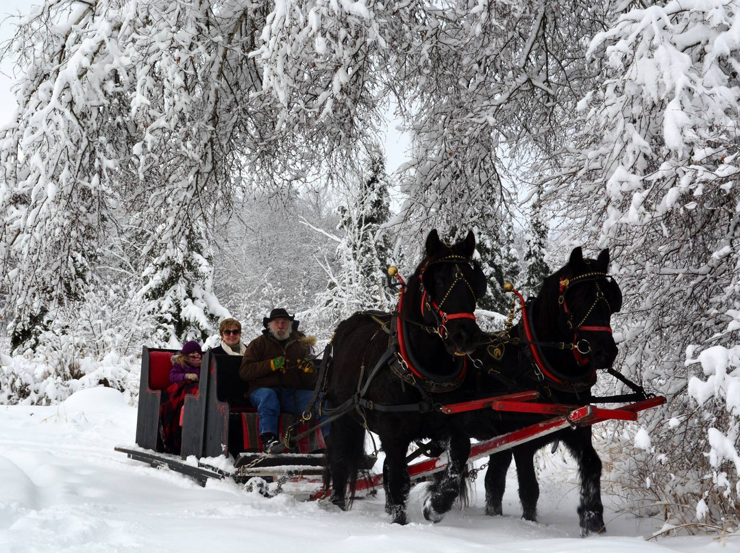 Derby Line Village Inn主图