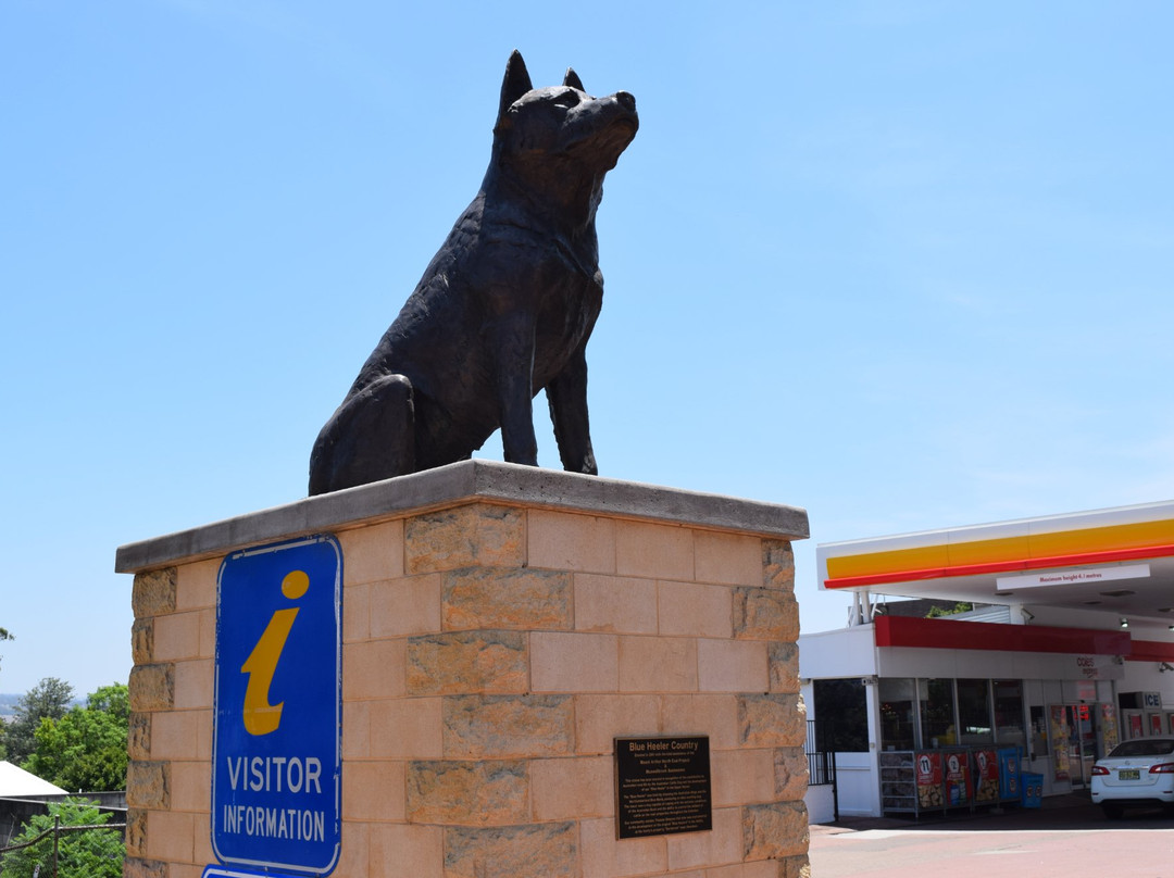 Muswellbrook Visitor Information Centre-Muswellbrook必去景点