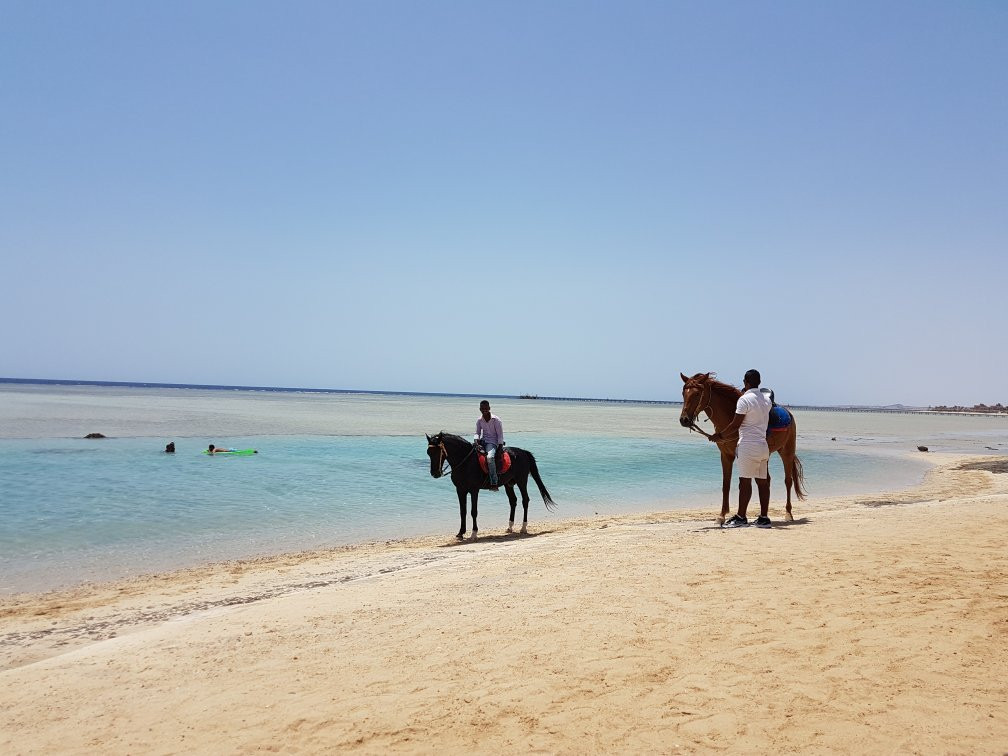 Marsa Alam Excursies-马萨阿拉姆必去景点