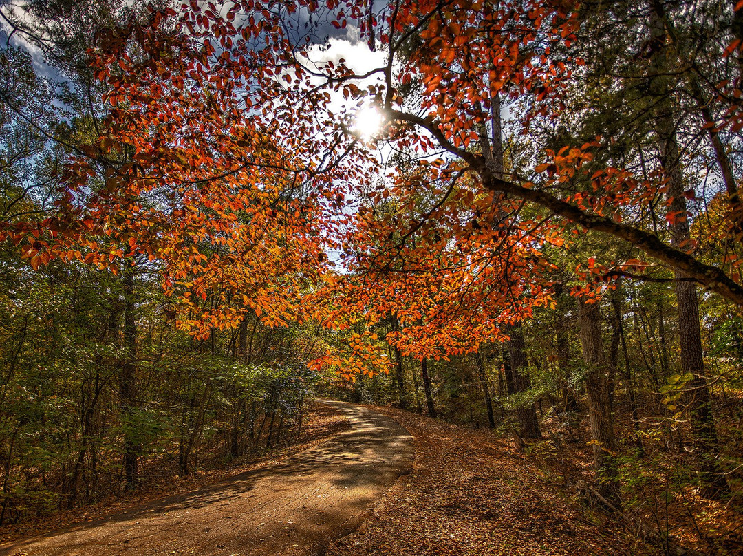 Palestine旅游攻略图片