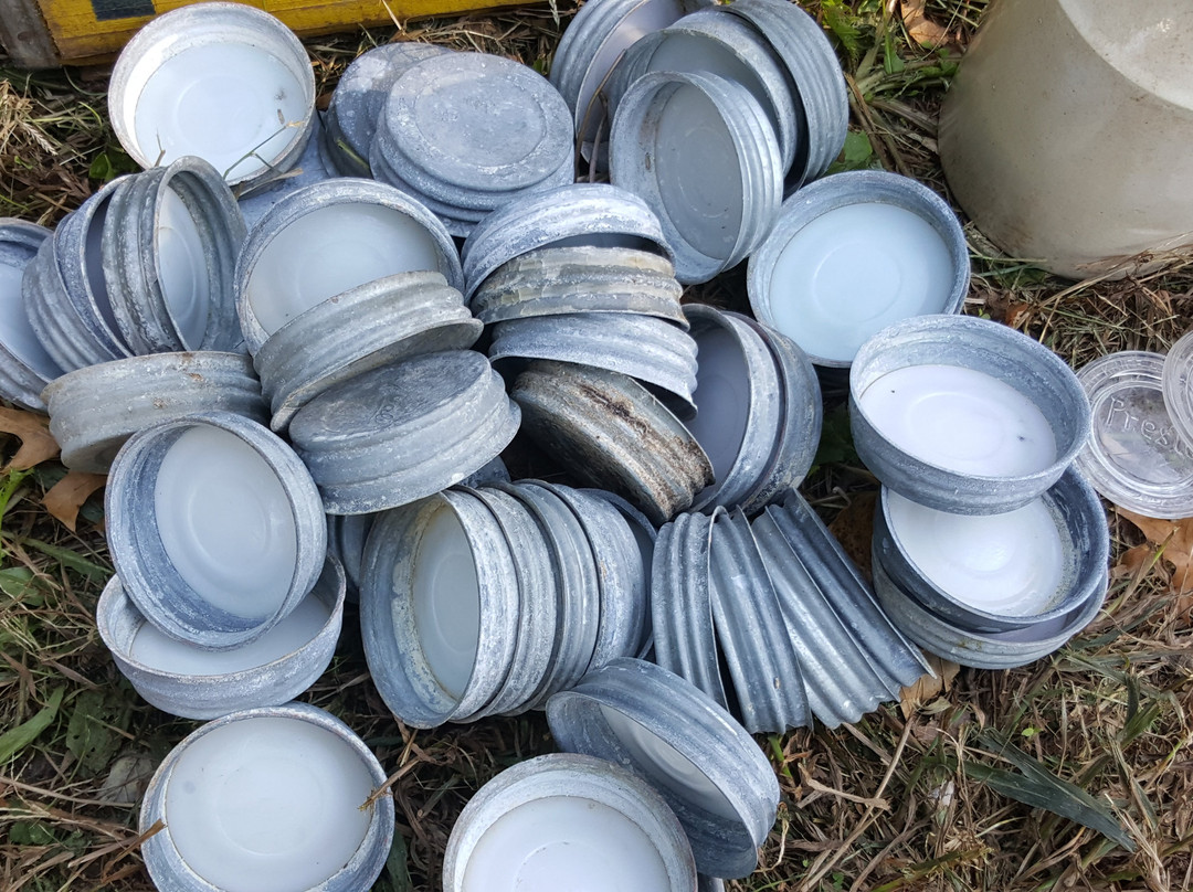 Wentzville Flea Market-Wentzville必去景点