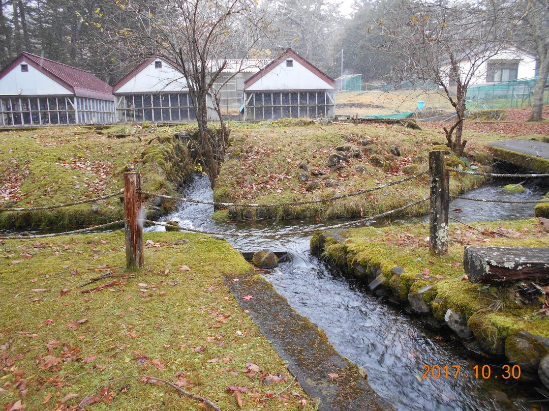 Sakana to Mori no Kansatsuen-日光市必去景点