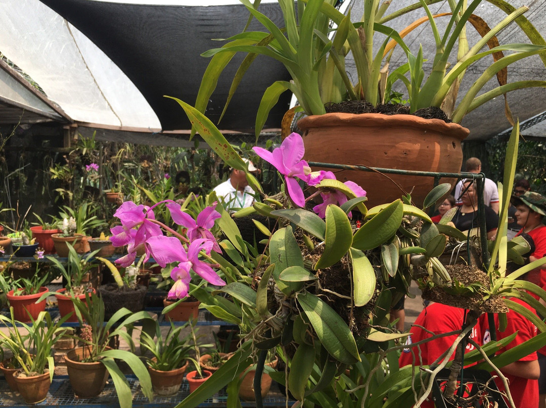 Parque Ecologico Yvaga Guazu - Paraiso Grande-圣克鲁斯省必去景点