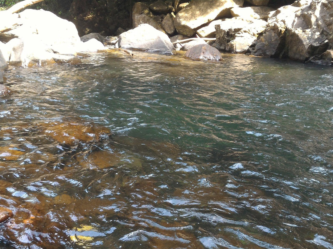 Hanuman Gundi Falls景点图片