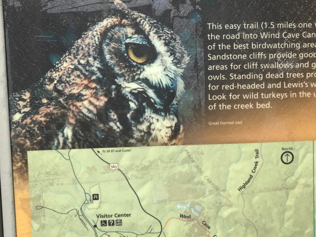 Wind Cave Canyon Trail-Wind Cave National Park必去景点