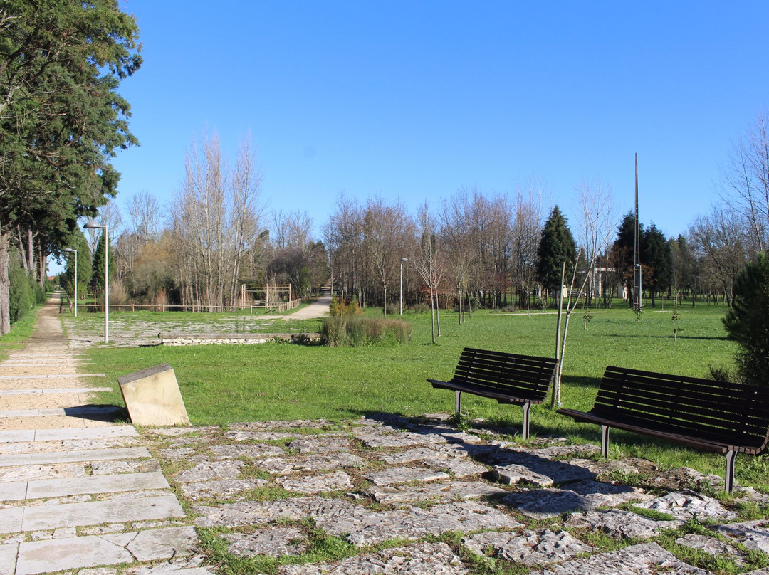 Parque Da Cidade景点图片