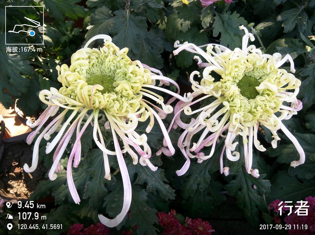 朝阳慕容街-朝阳市必去景点