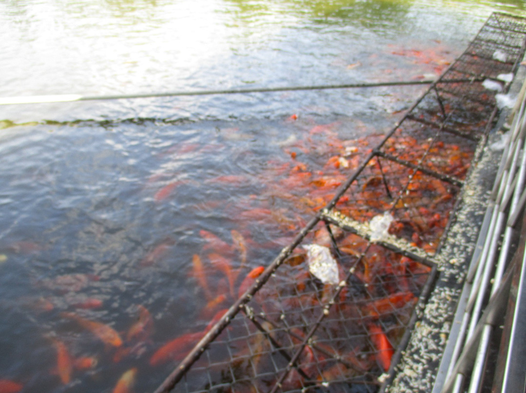 Fresh Water Lake-朔庄必去景点