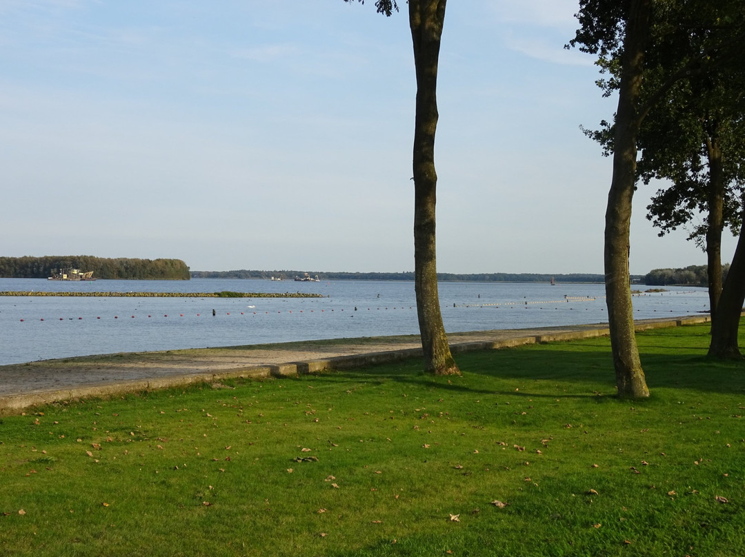 Zwemstrand Naarderbos景点图片