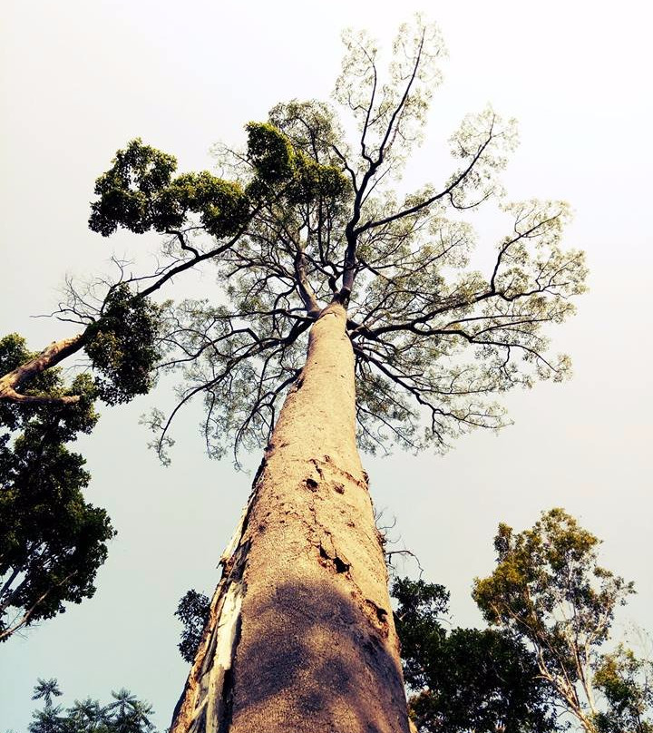 Sungai Menyala Edu-Ecotourism Center-波德申必去景点