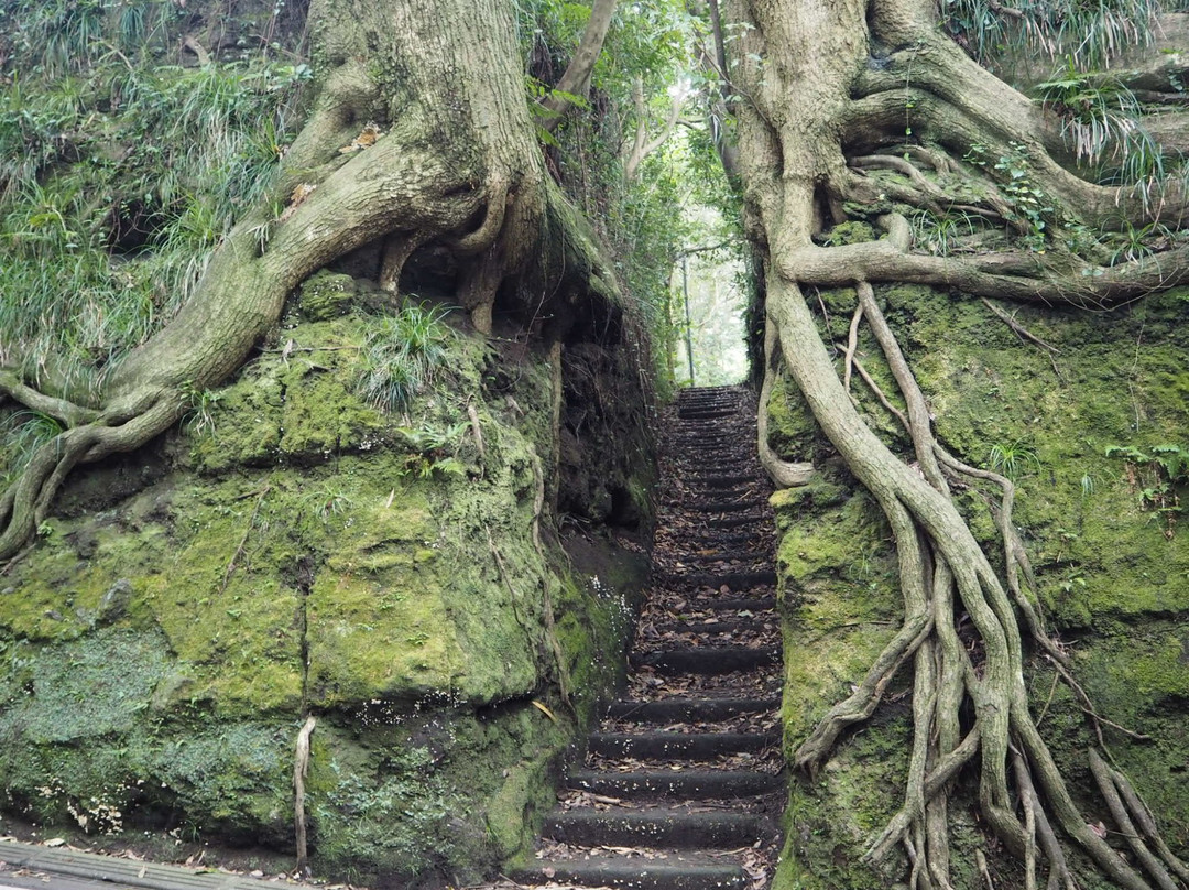 Senzu no Kiridoshi-大岛町必去景点