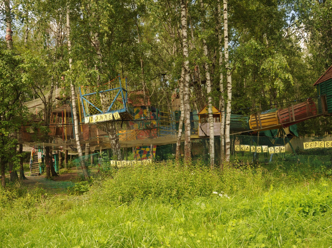 Forest Labyrinth Debri景点图片