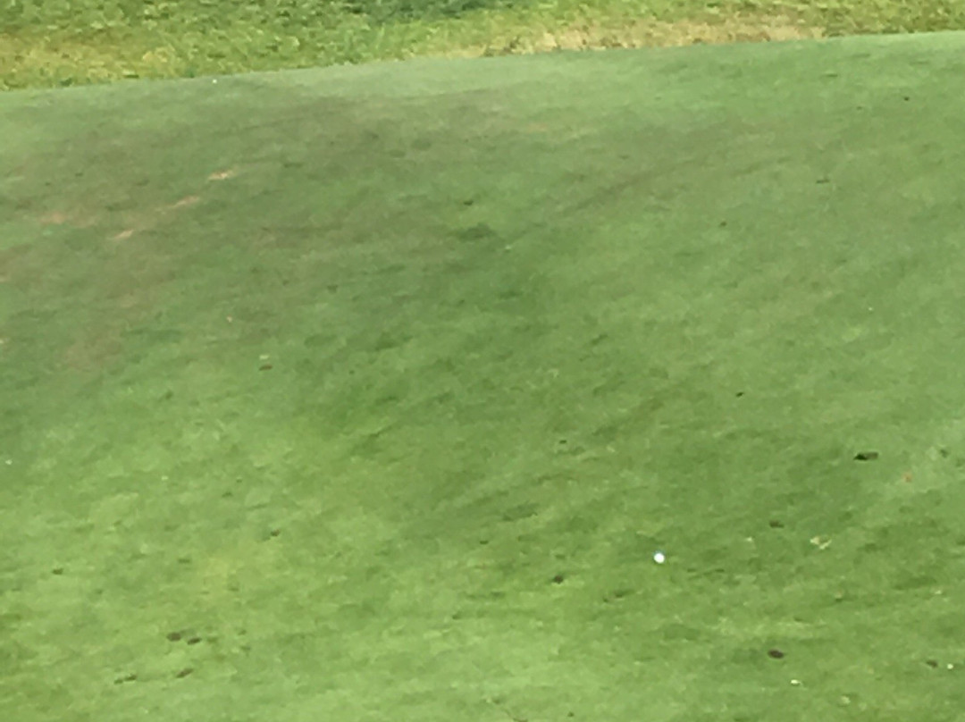 Tangle Creek Golf & Country Club景点图片