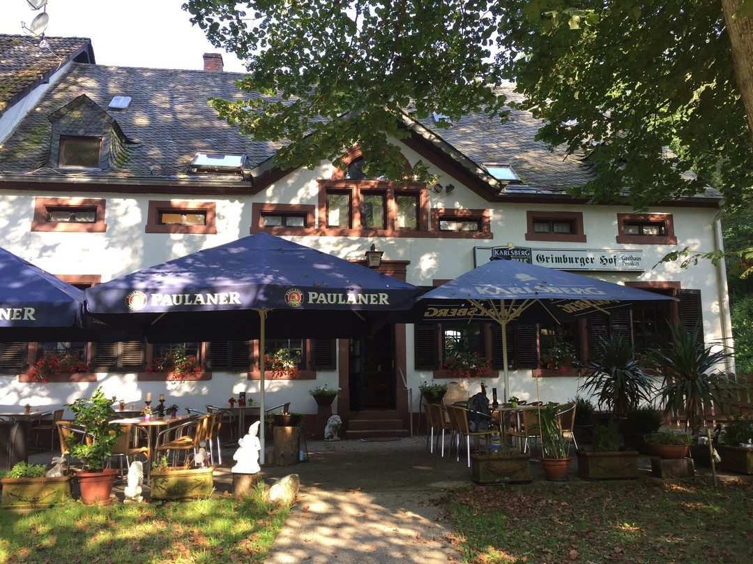 Weiskirchen酒店住宿-Grimburger Hof