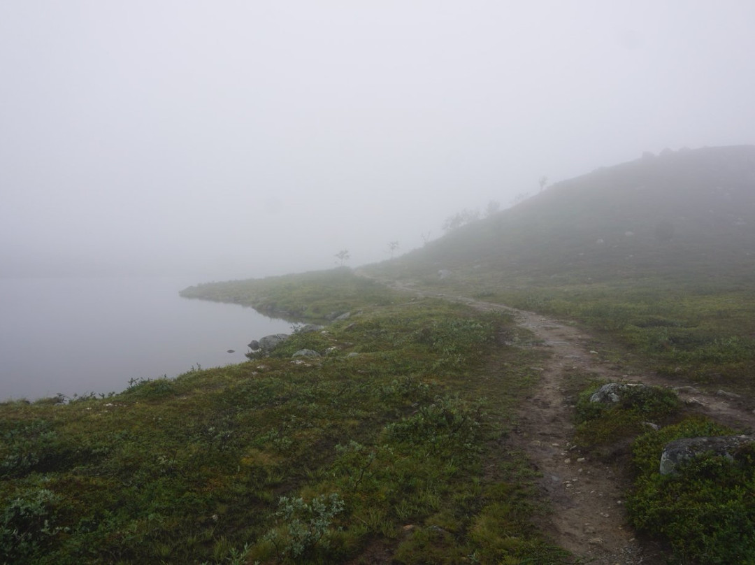 Malla Strict Nature Reserve-Enontekiö必去景点
