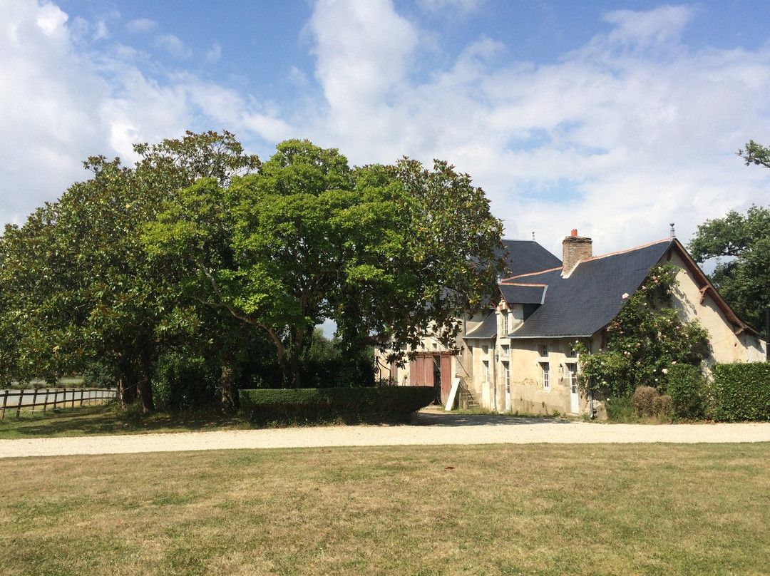 Chateau de la Rousseliere主图